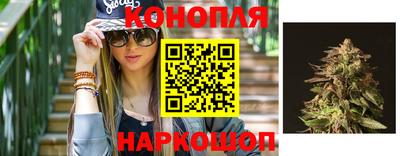 стафф Моздок