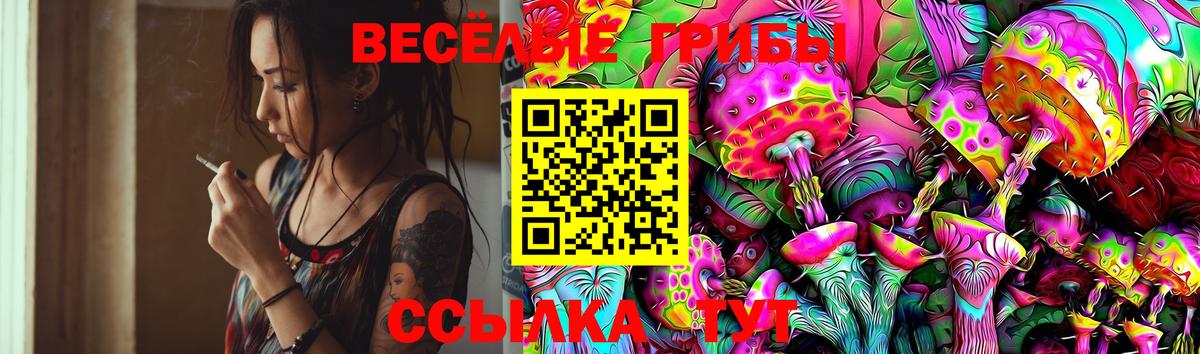 Видное  Галлюциногенные грибы MAGIC MUSHROOMS  Вход с VPN  Галлюциногенные грибы Cubensis 